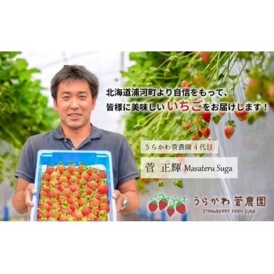 【今が旬!】北海道浦河産いちご「桃薫」270g×1P[13-279]