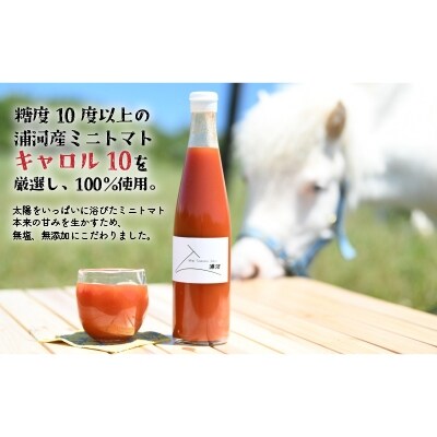 無添加・無塩 完熟ミニトマト100%ジュース(720mlx2本)[24-812]