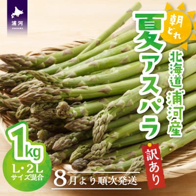 【先行予約受付中!】北海道浦河産 朝採り夏アスパラ(グリーン)1kg[03-145]