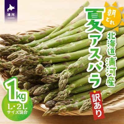 【今が旬!】【訳あり】北海道浦河産 朝採り夏アスパラ(グリーン)1kg[03-145]