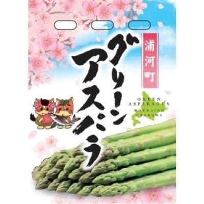 【今が旬!】【訳あり】北海道浦河産 朝採り夏アスパラ(グリーン)1kg[03-145]