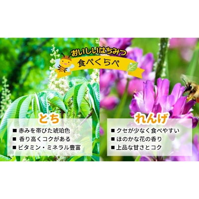 国産純粋完熟はちみつ大瓶セット(れんげ・とち)580g×2本[16-832]
