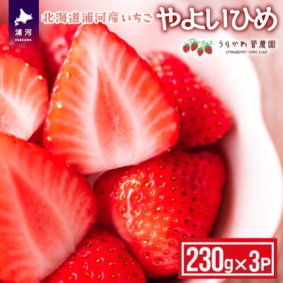 【今が旬!】北海道浦河産いちご「やよいひめ」230g×3P[13-883]