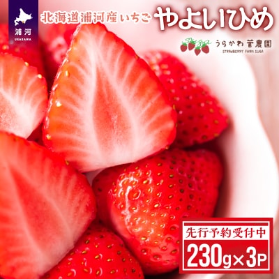 【先行受付開始!】北海道浦河産いちご「やよいひめ」230g×3P[13-883]