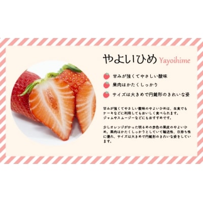 【今が旬!】北海道浦河産いちご「やよいひめ」230g×3P[13-883]