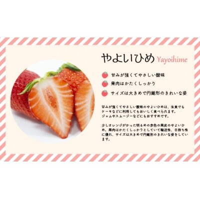 【先行受付開始!】北海道浦河産いちご「やよいひめ」230g×3P[13-883]