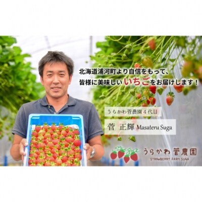 【今が旬!】北海道浦河産いちご「やよいひめ」230g×3P[13-883]