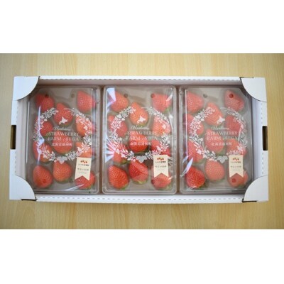 【今が旬!】北海道浦河産いちご「やよいひめ」230g×3P[13-883]