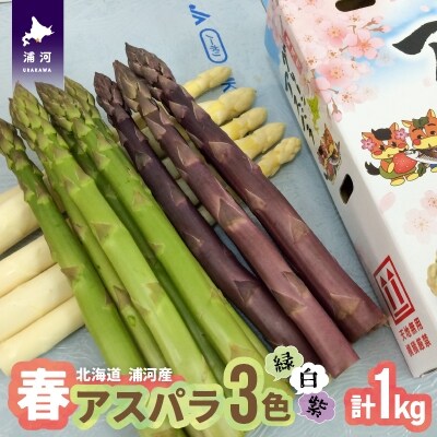 【4月上旬頃より発送!】北海道浦河産 アスパラガス3色食べ比べセット(1kg)[03-133]
