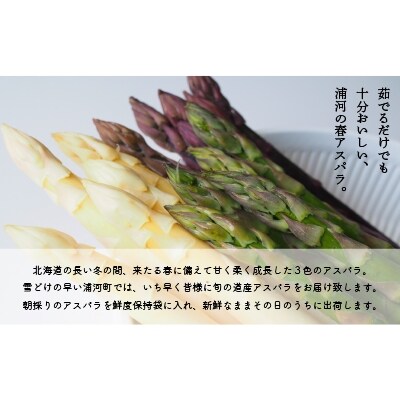 【4月上旬頃より発送!】北海道浦河産 アスパラガス3色食べ比べセット(1kg)[03-133]