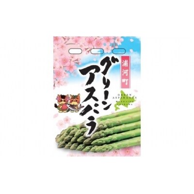 【4月上旬頃より発送!】北海道浦河産 アスパラガス3色食べ比べセット(1kg)[03-133]