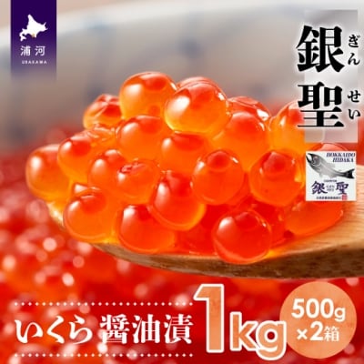 前浜産ブランド銀毛鮭天然「銀聖」いくら醤油漬500g×2箱[02-298]