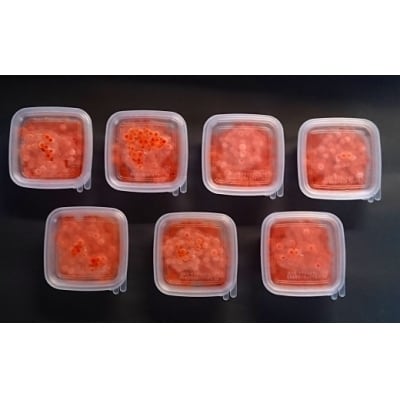 【ブリスモーク&鮭スティック付】北海道日高産 塩いくら小分けパック(60g×7) [15-542]