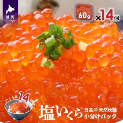 【時鮭スモークサーモン付】北海道日高産 塩いくら小分けパック(60g×14)[15-543]