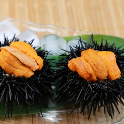 今が旬 塩水ムラサキウニ 北海道日高産 100g 2パック ご家庭用 B02 302 お礼品詳細 ふるさと納税なら さとふる