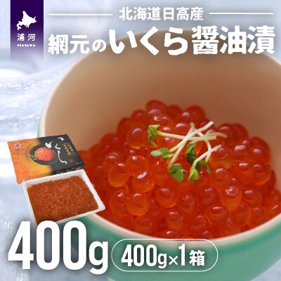 【めしの素(秋鮭)付】網元のいくら醤油漬(400gx1箱)[01-015]