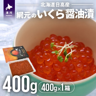 【めしの素(秋鮭)付】網元のいくら醤油漬(400gx1箱)[01-015]