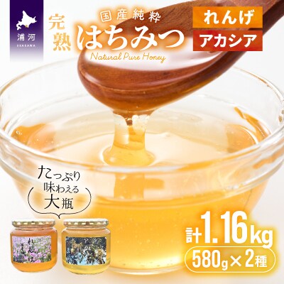 国産純粋完熟はちみつ大瓶セット(れんげ・アカシア)580g×2本[16-537]