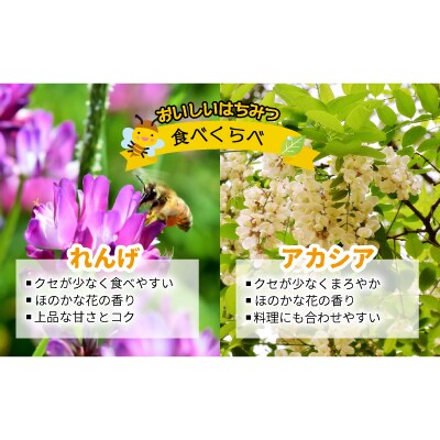 国産純粋完熟はちみつ大瓶セット(れんげ・アカシア)580g×2本[16-537]