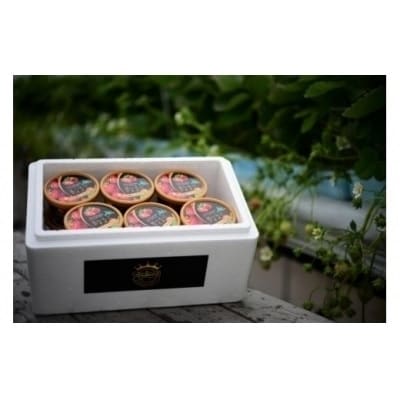 果肉55%「夏いちごアイス(6個)」【全4回定期便】[22-997]