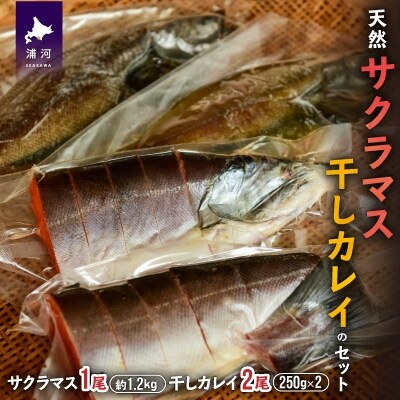 天然サクラマス筒切りと干しカレイのセット B05 1000 お礼品詳細 ふるさと納税なら さとふる