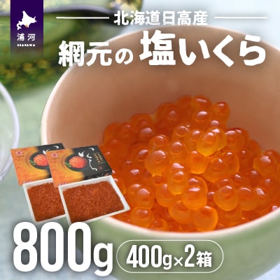 【めしの素(秋鮭)2P付】網元の塩いくら(400gx2箱)[01-576]