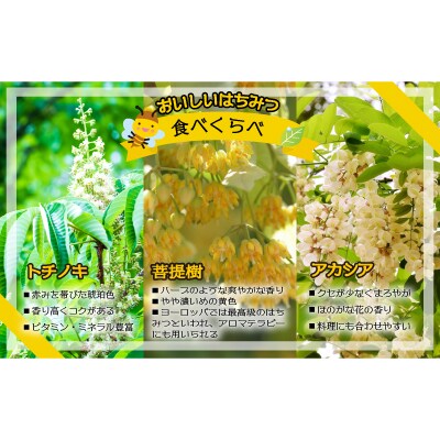 国産純粋完熟はちみつ小瓶セット(アカシア・とち・菩提樹)[16-1001]