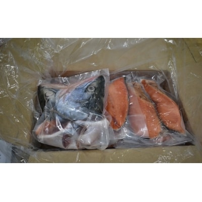 漁協の新巻鮭(中サイズ) 丸ごと切身2.4kg前後 [02-056]