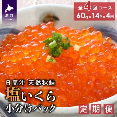 【時鮭スモークサーモン付】北海道日高産 塩いくら小分けパック【全4回定期便】[15-850]