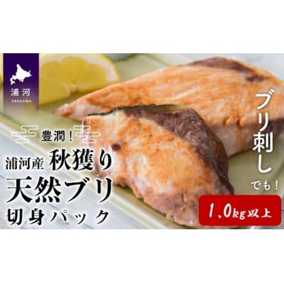 豊潤!浦河産秋獲り 天然ブリの切身(1.0kg以上)[08-887]
