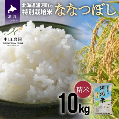 【新米発送!】浦河の特別栽培米「ななつぼし」精米(10kg×1袋)[37-1026]