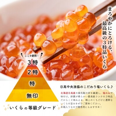 塩いくら3特品(500g×2箱)[02-499]