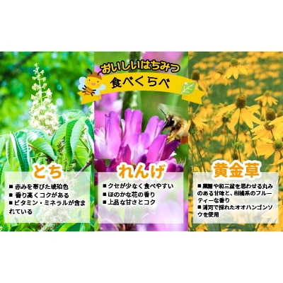 国産純粋完熟はちみつ小瓶セット(れんげ・とち・黄金草)[16-1052]