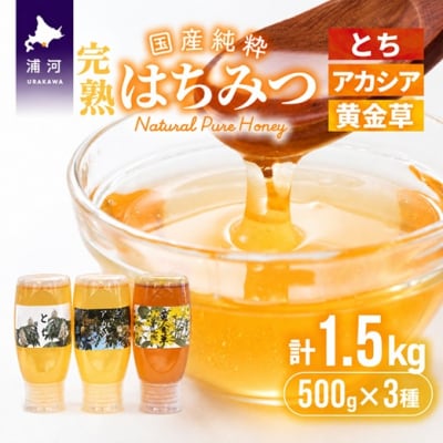国産純粋完熟はちみつ3種セット(とち・アカシア・黄金草)ご家庭用計1.5kg[16-1053]