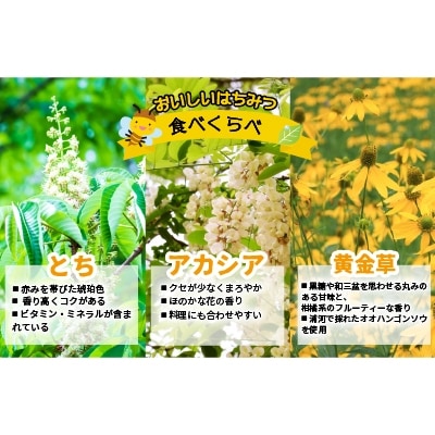 国産純粋完熟はちみつ3種セット(とち・アカシア・黄金草)ご家庭用計1.5kg[16-1053]