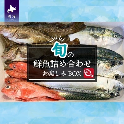 『キンキ入り』漁協厳選!鮮魚お楽しみBOX※不在日・日付指定対応不可※[02-830]