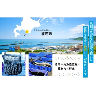 『キンキ入り』漁協厳選!鮮魚お楽しみBOX※不在日・日付指定対応不可※[02-830]