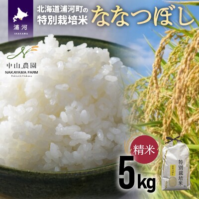 浦河の特別栽培米「ななつぼし」精米(5kg×1袋)[37-1065]