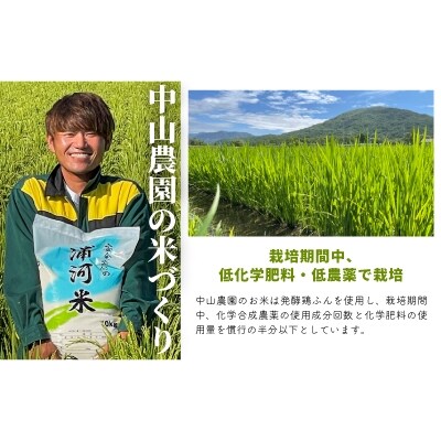 浦河の特別栽培米「ななつぼし」精米(10kg×1袋)定期便(全3回)[37-1054]