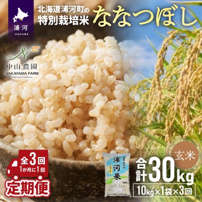 [令和5年産]北海浦河の特別栽培米「ななつぼし」玄米(10kg×1袋)定期便全3回[37-1055]