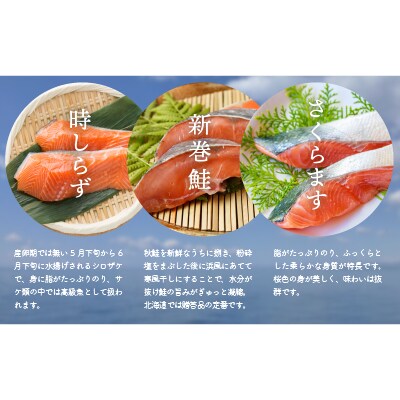 3種の鮭切身食べ比べセット計18切(時しらず・新巻鮭・さくらます)[02-1098]