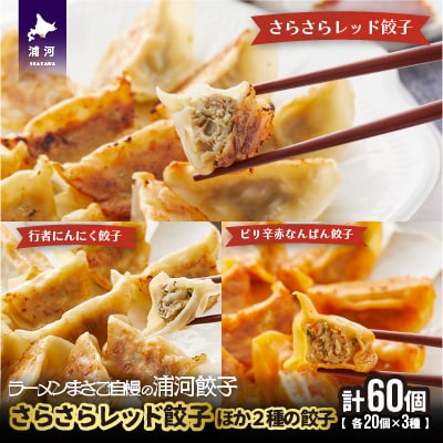 さらさらレッド餃子ほか2種の餃子(行者にんにく・ピリ辛)20個入×各1袋[04-1106]