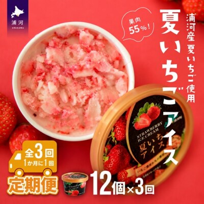 果肉55%「夏いちごアイス(12個)」【全3回定期便】[22-1142]