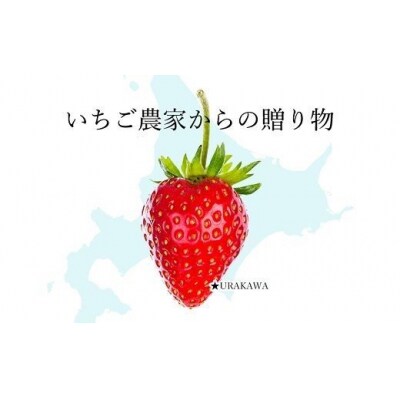 果肉55%「夏いちごアイス(12個)」【全3回定期便】[22-1142]