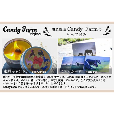 天然蜜蝋100%手作り「キャンドル」&馬たちの「ポストカード」セット[39-1122]