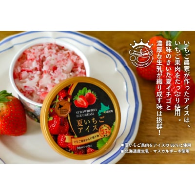 果肉55%「夏いちごアイス(6個)」【全3回定期便】[22-1143]