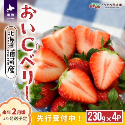 【来年2月頃より発送!】北海道浦河産いちご「おいCベリー」230g×4P[13-1127]