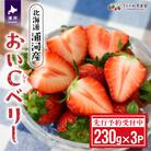 【先行受付開始!】北海道浦河産いちご「おいCベリー」230g×3P[13-1127]
