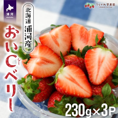 【今が旬!】北海道浦河産いちご「おいCベリー」230g×3P[13-1127]