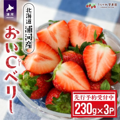【先行受付開始!】北海道浦河産いちご「おいCベリー」230g×3P[13-1127]